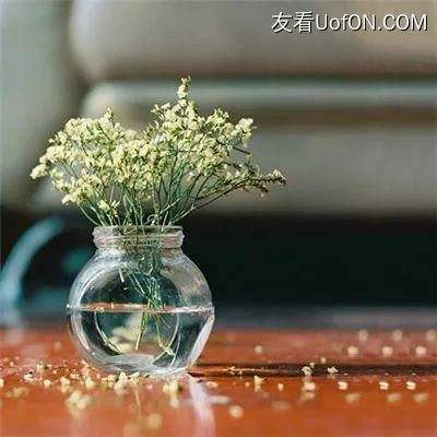 乱世七雄九游版下载