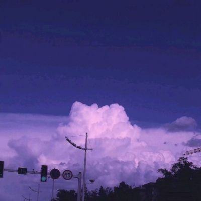 圣域之歌最新版下载